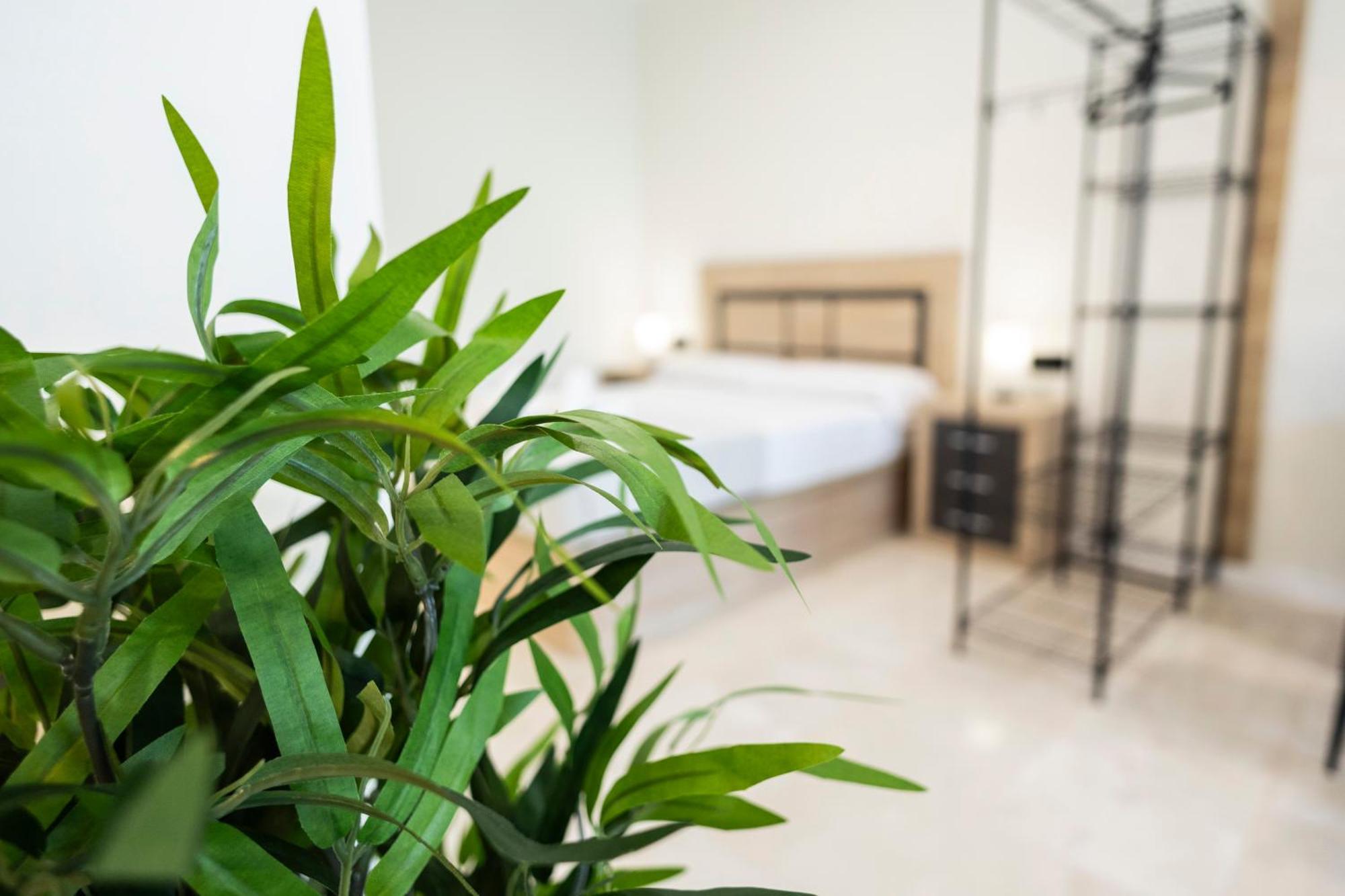 Vera Garden By Concept Flats Valencia Bagian luar foto